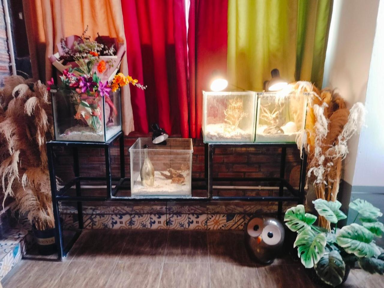 Cozy Fun Homestay 16 하노이 외부 사진